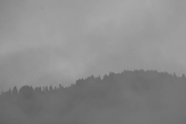 Fog in the mountains black and white pfotography