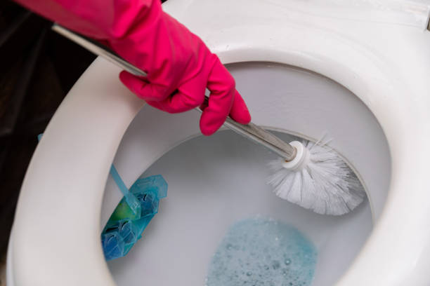 istock Effectively Utilizing Cleaning Supplies and a Toilet Brush for Optimal Hygiene in Action 2184180614