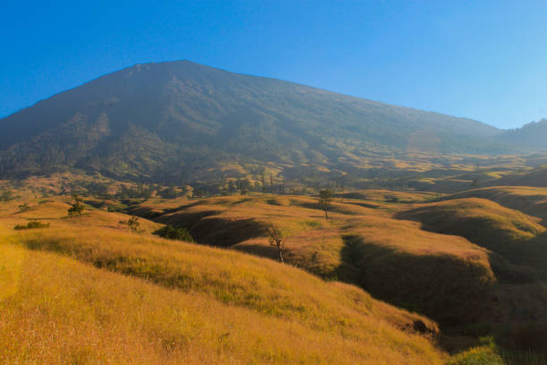 Sembalun savanna of Mount Rinjani