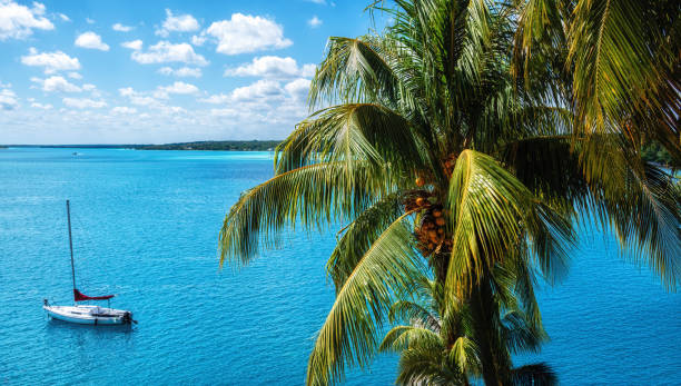 istock Beautiful scene with boat and palm tree in Bacalar 2184182669