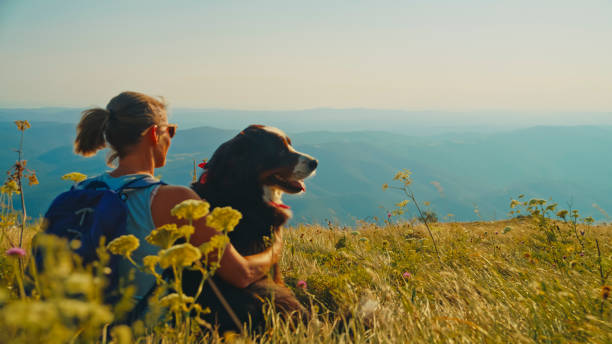A mid adult Caucasian woman in hiking gear and her canine companion sit admiring the expansive scenery atop a grassy hill.