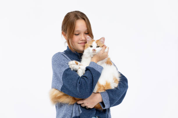 istock A girl is lovingly hugging her cat, creating an adorable and heartwarming bonding moment 2184184512