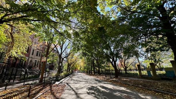 istock Prairie Avenue historic district 2184186069