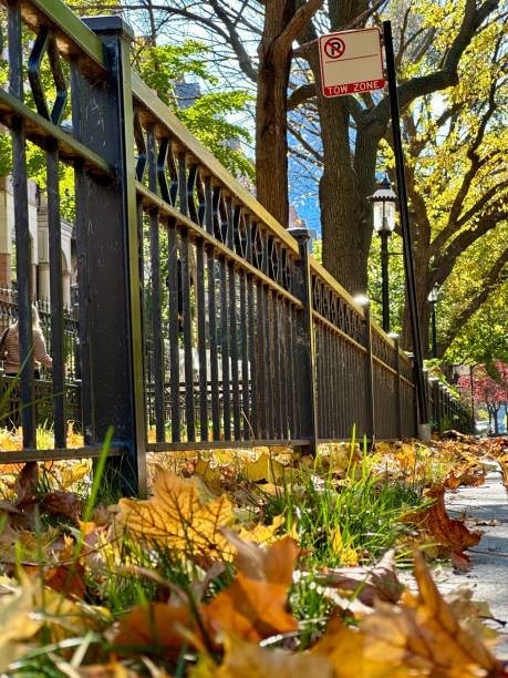 istock Autumn on the streets of Chicago 2184186131