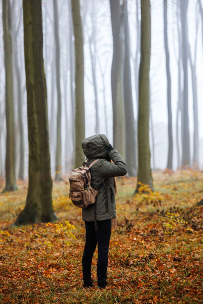 istock Hiking in autumn. Woman with backpack walks through misty beech forest 2184188367