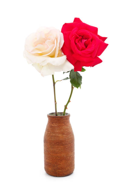 Pink roses in metal vase on wooden table by the window.