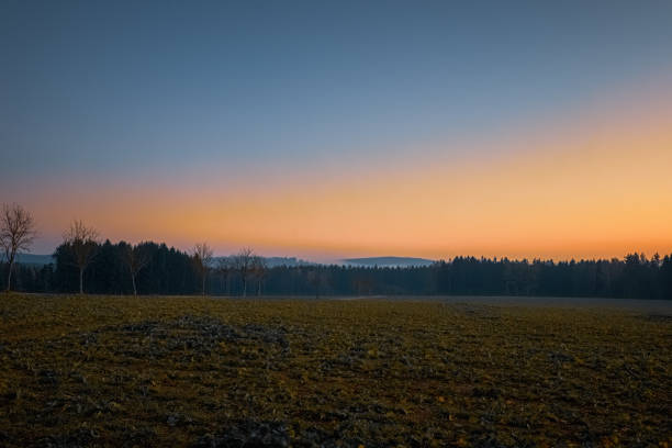 Autumn evening in a misty field in Bavaria