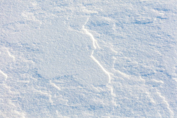 The snow is a bright white color and it covers the ground in a thick layer. The snow is so deep that it almost reaches the ground, creating a beautiful and serene winter landscape