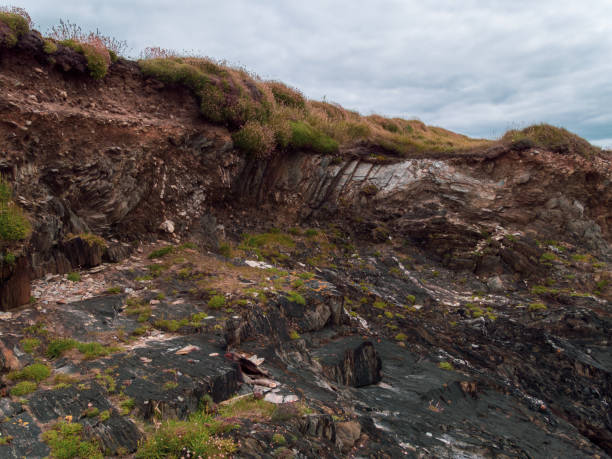 istock Rocky soil with dense wild vegetation. Cloudy sky over a rocky cliff. 2184200299