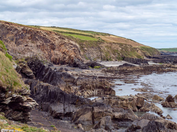 istock Picturesque Irish seaside landscape. Wild vegetation grows on stony soil. Cloudy sky over the coast. Views on the wild Atlantic way. 2184200514