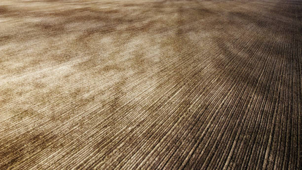istock Agricultural fields on a sunny spring day, aerial view. Landscape. 2184200585
