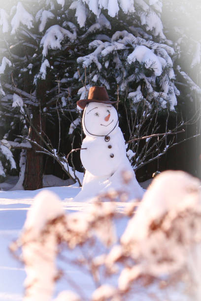 istock Beautiful and cheerful snowman 2184202705
