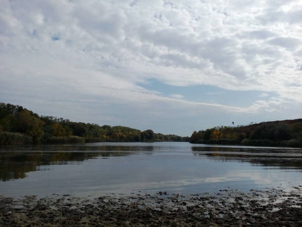 Kakhov reservoir. River on the background of trees and blue sky with white clouds