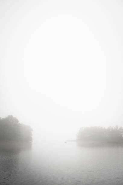 istock Foggy Lake with Reeds in Foreground 2184204768