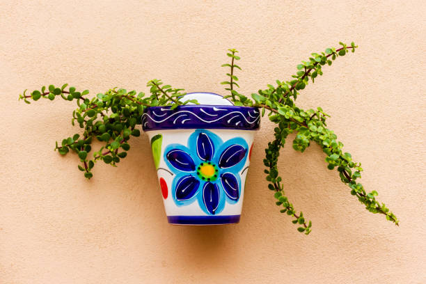 A vibrant ceramic pot with a floral design holds a cascading succulent against a neutral wall. Perfect for adding a splash of color to indoor or outdoor spaces.
