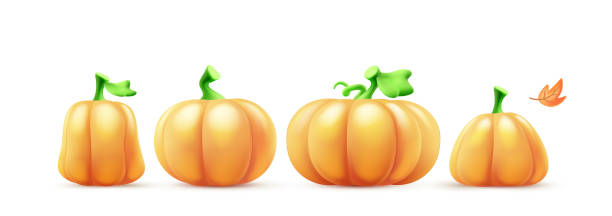 istock Vector fall illustration of orange color pumpkin set and autumn leaf on white background. 3d style cartoon design of collection of different pumpkin and leaf for thanksgiving day banner 2184205409