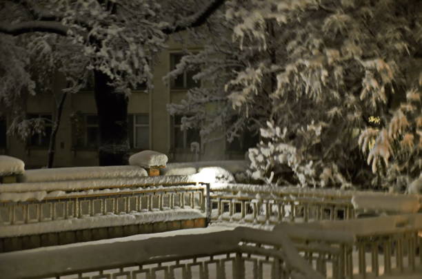 Snow storm with strong wind, snowfall and leaves still unfallen on the trees, Sofia, Bulgaria