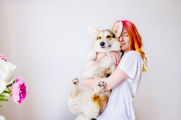 istock Young woman hugging fluffy corgi with flowers and white background 2184206563
