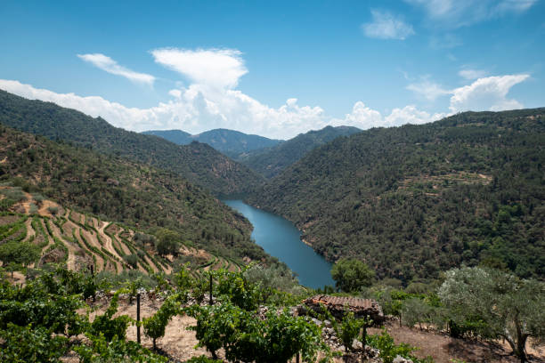 istock Rural countryside, mountains and the Tua River 2184206775