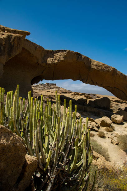 istock Tenerife's Sculptures: Cactus and Stone Arch 2184215659