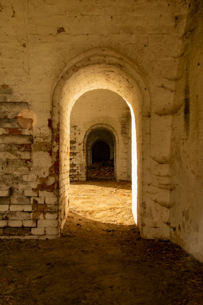 istock Golden Rays in the Forest Tunnel 2184215758