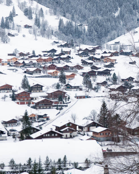 istock Winter Wonderland in Switzerland 2184215956