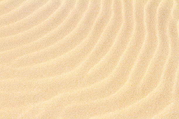 Rippled sand on the sea coast formed by wind and water, background, texture, pattern, banner