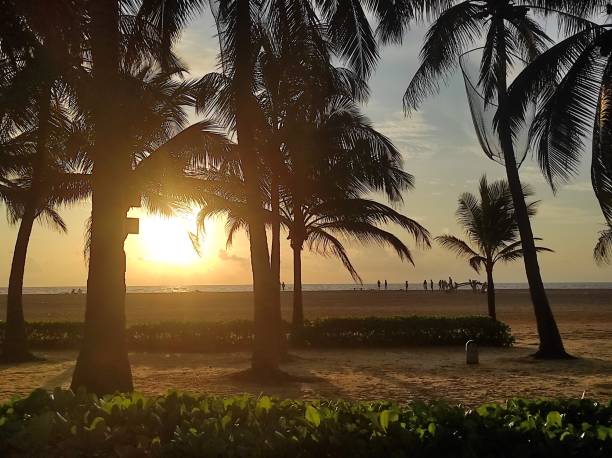 istock Negombo Sri Lanka 2184216895