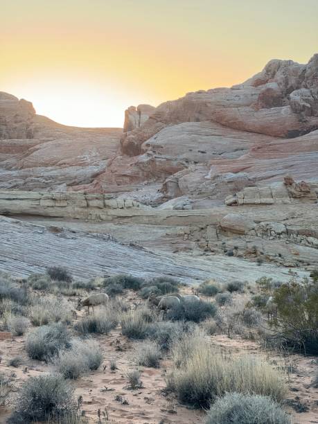 istock Valley of Fire State Park NV 2184219320