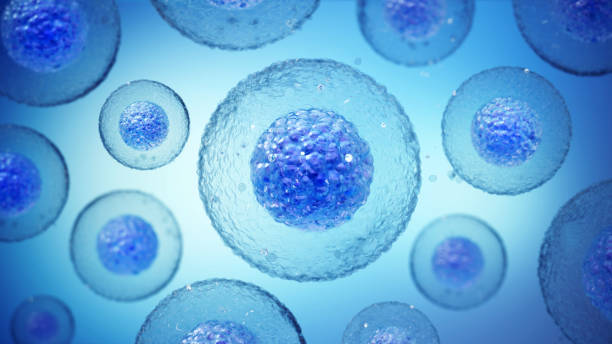 istock Close-up view of blue cellular structures floating in a bright blue background, illustrating cell biology under microscopic examination 2184219739