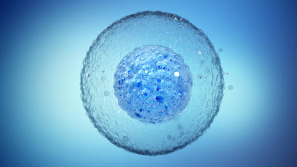 Close-up view of blue cellular structure floating in a bright blue background, illustrating cell biology under microscopic examination