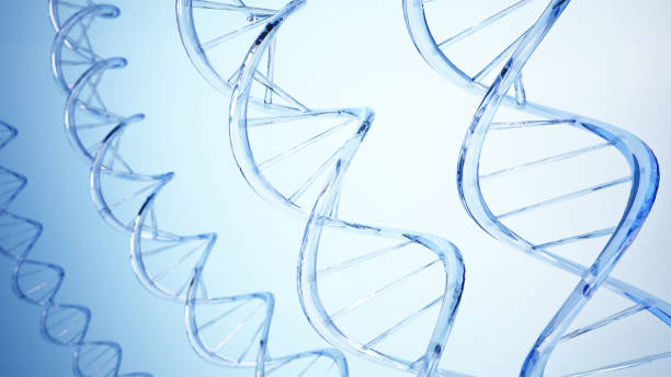 istock A close-up view of several DNA strands, rendered in 3D, against a light blue background 2184219847