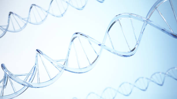 istock A close-up view of several DNA strands, rendered in 3D, against a light blue background 2184219868