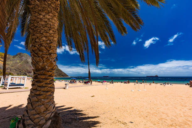 istock Playa de Las Teresitas beach, Tenerife, Spain, Canary Islands 2184222731