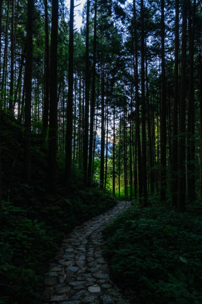 istock Nakasendo Trail Landscape in Japan 2184223310