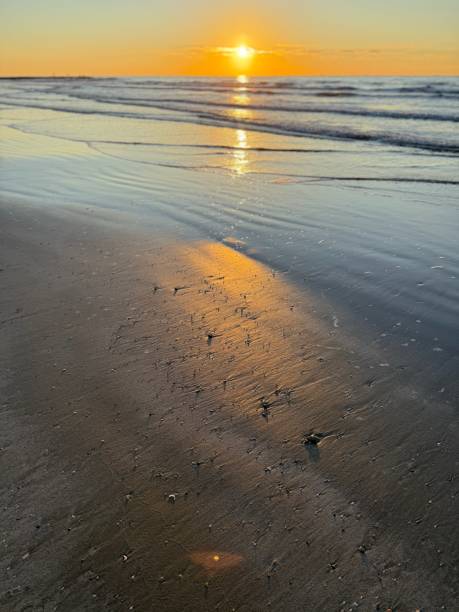 Galveston Island Seashore at Dawn in October