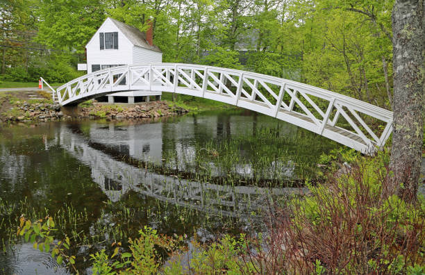 Side view at Somesville Bridge
