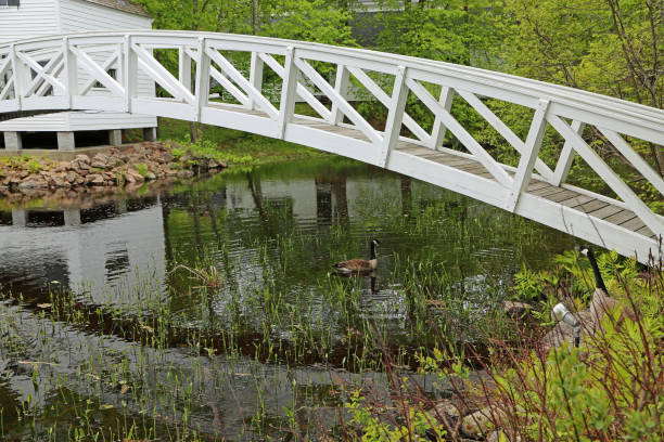 istock Arch of Somesville Bridge 2184224984