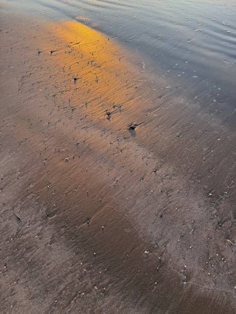 Galveston Island Beach at Dawn in October