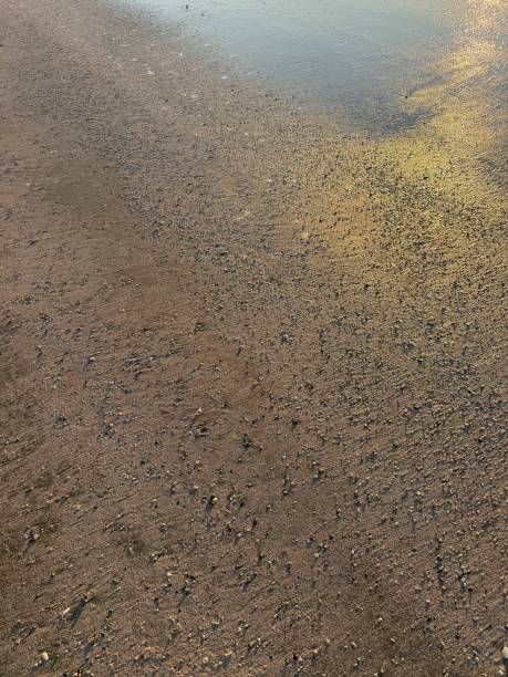 Galveston Island Sunrise Reflection on the Beach in October