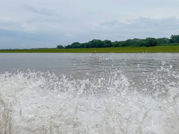 istock Splashes of water in a serene river landscape 2184228656