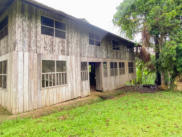 istock Rustic two-story wooden house in Amazon rainforest village 2184228764