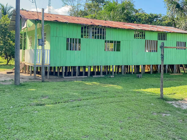 istock Elevated green building with corrugated roof in Amazon village 2184228892