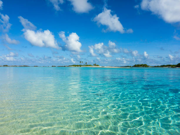 istock Turquoise Waters of French Polynesia 2184235909