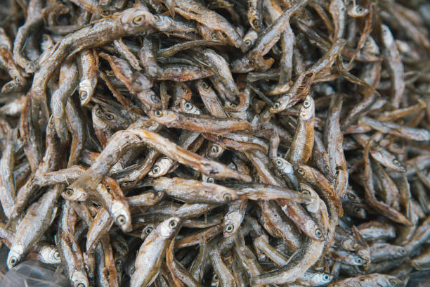 Dried fish on sale