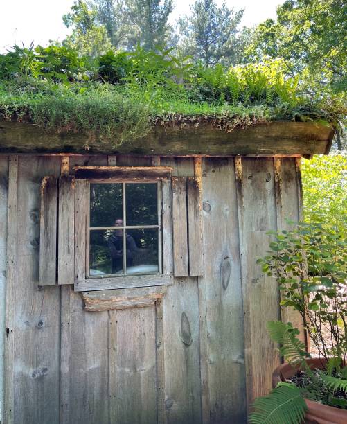istock Garden in the woods 2184237070