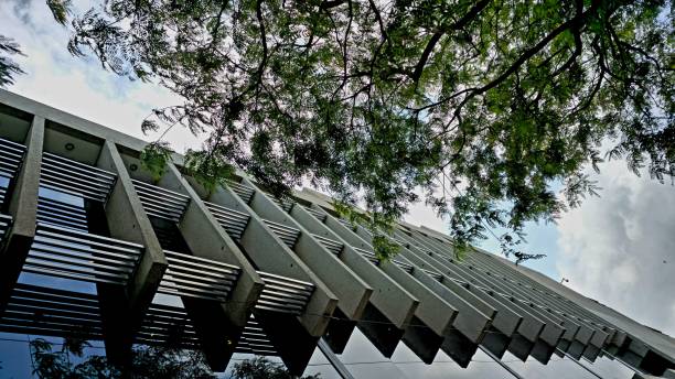 istock Upward view of a modern building with horizontal slats and large windows on its facade. Tree branches with green leaves partially obscure the sky overhead. Gloomy or imposing mood. 2184237245