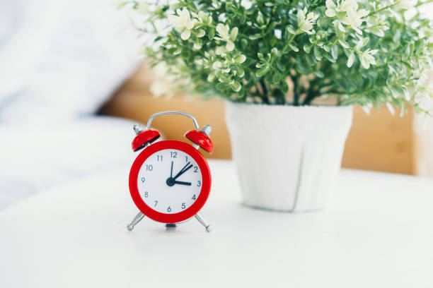 A red alarm clock stands next to a green plant, enhancing the room's inviting atmosphere.