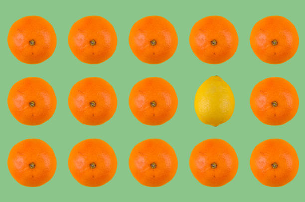 Rows of fresh, juicy oranges and a single lemon against a bright green backdrop.