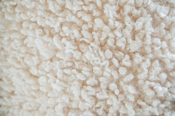 istock Textured white fabric with fluffy fibers on display in natural light 2184239954